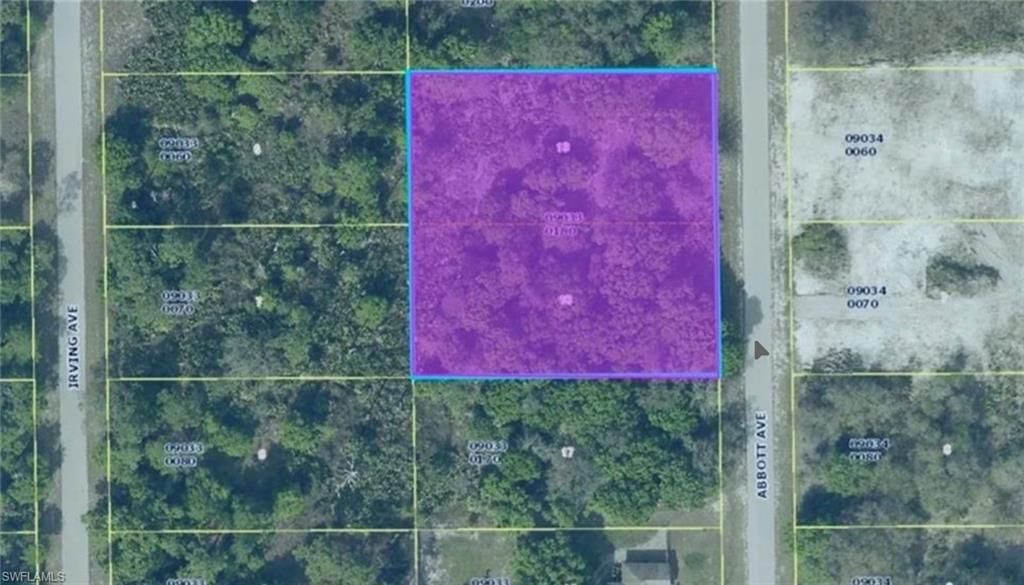 1011 Abbott AVE, LEHIGH ACRES, FL 33972 — exterior