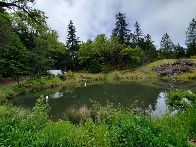 3790 Thomas Road, Miranda, CA 95553