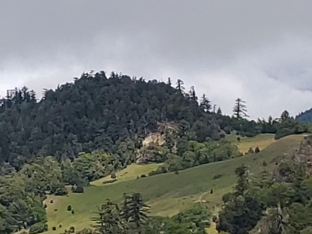 3790 Thomas Road, Miranda, CA 95553