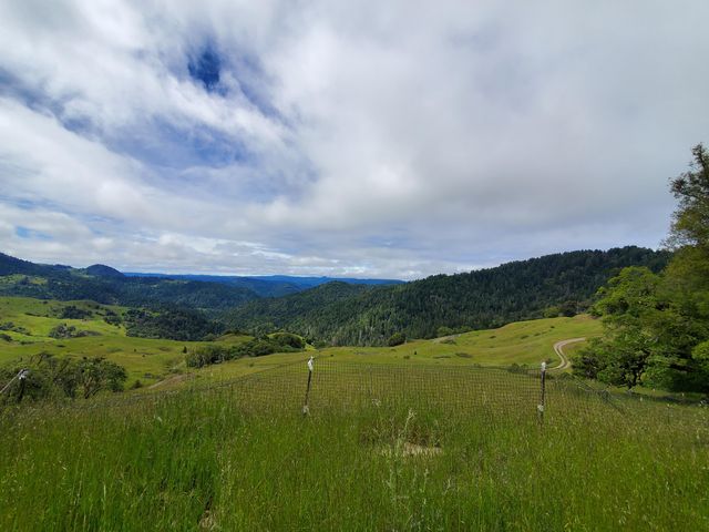 3790 Thomas Road, Miranda, CA 95553