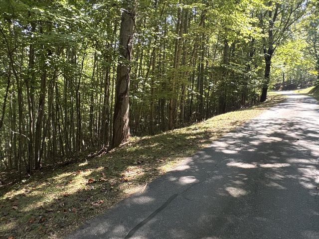 Lot 14 White Oak Drive, Warne, NC 28909