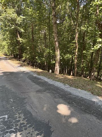Lot 14 White Oak Drive, Warne, NC 28909