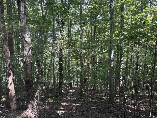 Lot 14 White Oak Drive, Warne, NC 28909