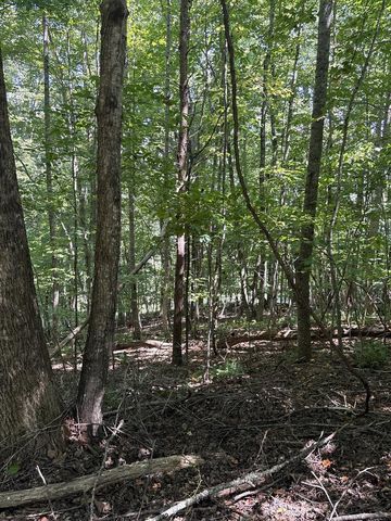 Lot 14 White Oak Drive, Warne, NC 28909