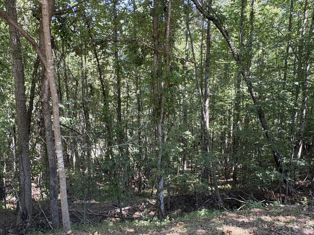 Lot 14 White Oak Drive, Warne, NC 28909