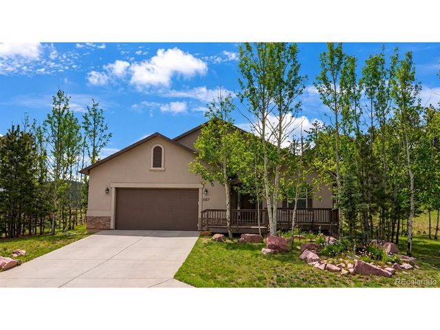 1157 Ptarmigan Dr, Woodland Park, CO 80863
