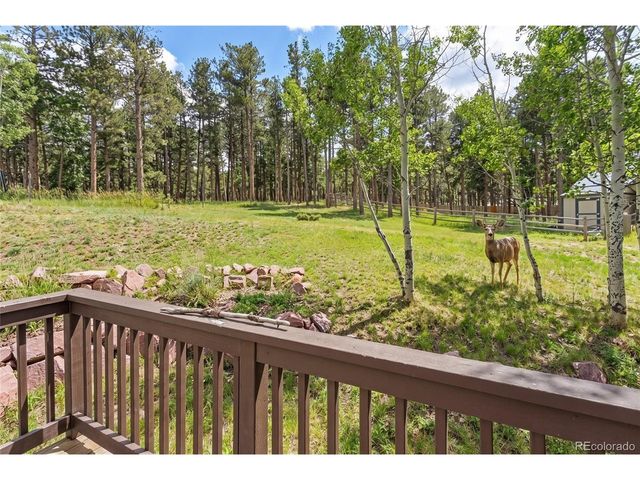 1157 Ptarmigan Dr, Woodland Park, CO 80863