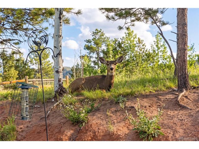 1157 Ptarmigan Dr, Woodland Park, CO 80863