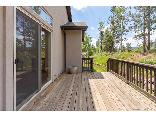 1157 Ptarmigan Dr, Woodland Park, CO 80863