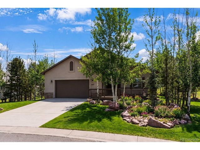 1157 Ptarmigan Dr, Woodland Park, CO 80863