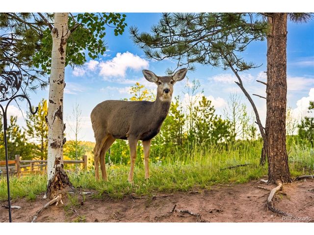 1157 Ptarmigan Dr, Woodland Park, CO 80863