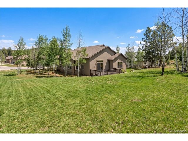 1157 Ptarmigan Dr, Woodland Park, CO 80863