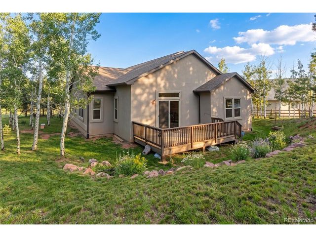1157 Ptarmigan Dr, Woodland Park, CO 80863
