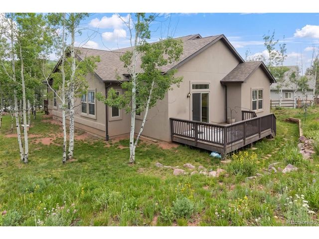 1157 Ptarmigan Dr, Woodland Park, CO 80863