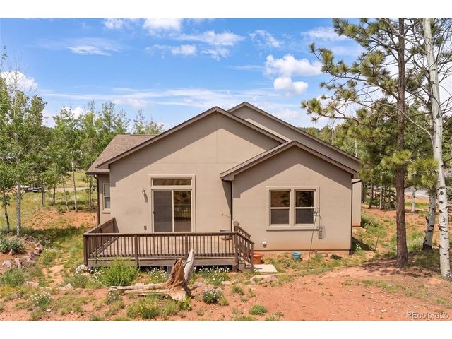 1157 Ptarmigan Dr, Woodland Park, CO 80863