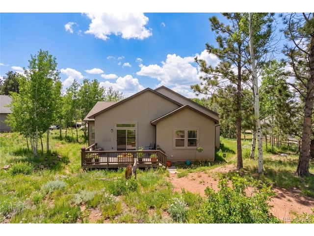 1157 Ptarmigan Dr, Woodland Park, CO 80863