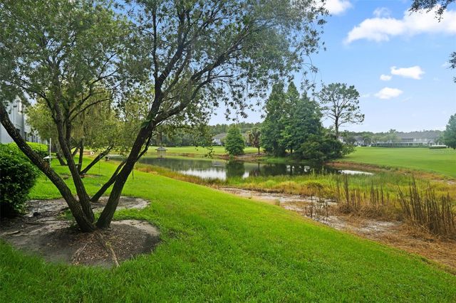 18105 NASSAU POINT DRIVE, Tampa, FL 33647
