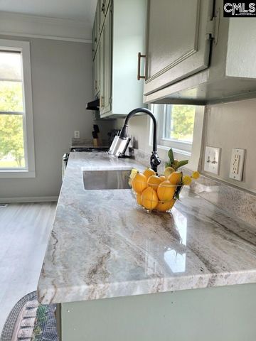 203 Sparkleberry Lane, Columbia, SC 29229