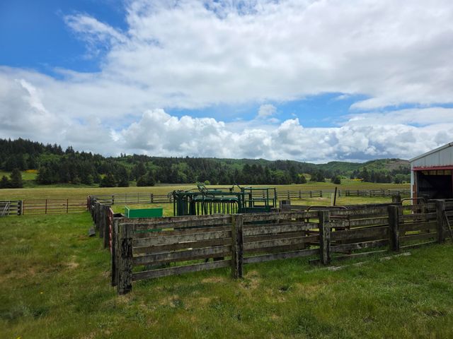 91146 Pioneer Farm Road, Warrenton, OR 97146