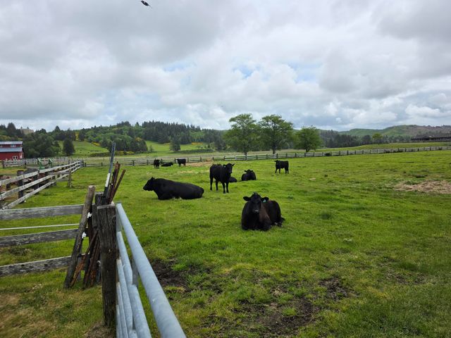 91146 Pioneer Farm Road, Warrenton, OR 97146