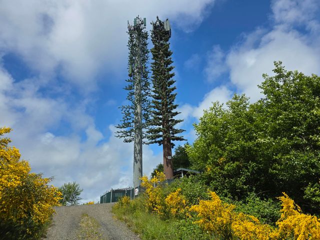 91146 Pioneer Farm Road, Warrenton, OR 97146