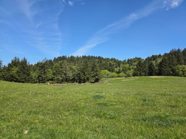 91146 Pioneer Farm Road, Warrenton, OR 97146