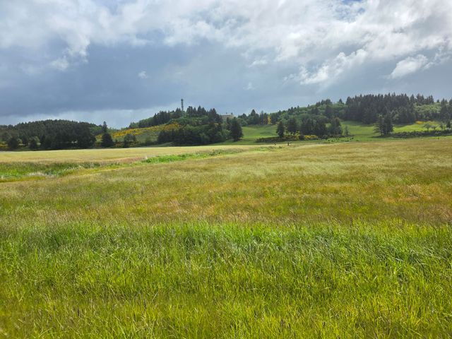 91146 Pioneer Farm Road, Warrenton, OR 97146