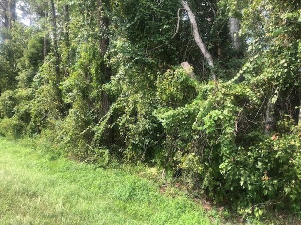 0 State Rd 33, Clermont, FL 34711