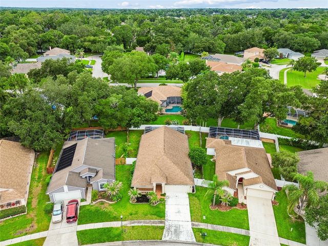 3041 BEAVER POND TRAIL, Valrico, FL 33596
