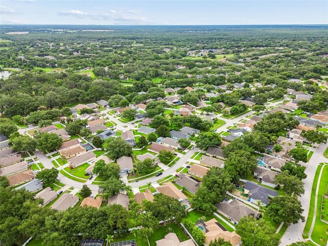 3041 BEAVER POND TRAIL, Valrico, FL 33596
