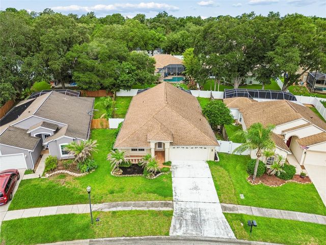 3041 BEAVER POND TRAIL, Valrico, FL 33596