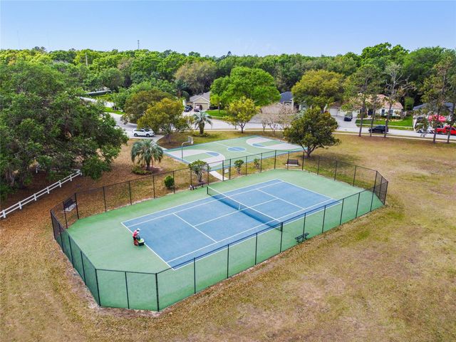 3041 BEAVER POND TRAIL, Valrico, FL 33596