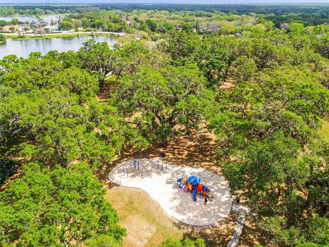 3041 BEAVER POND TRAIL, Valrico, FL 33596