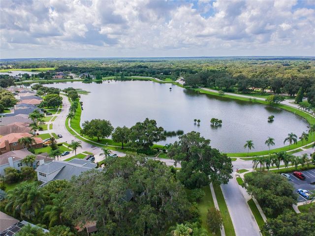 3041 BEAVER POND TRAIL, Valrico, FL 33596