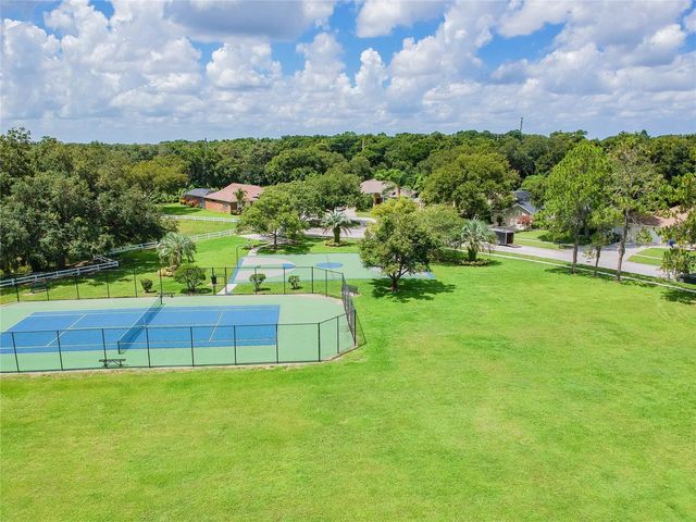 3041 BEAVER POND TRAIL, Valrico, FL 33596