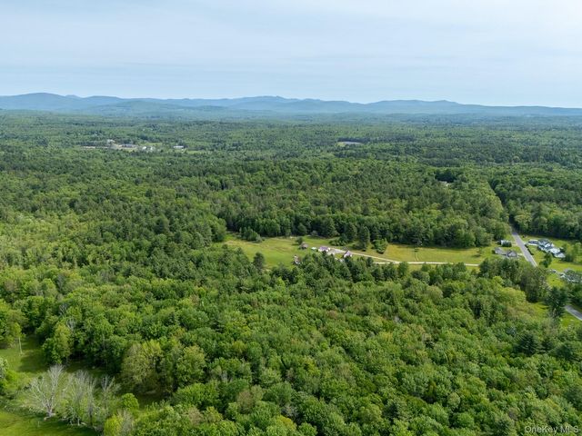 240 B Mountaindale Road, Greenfield Park, NY 12435