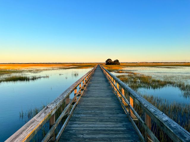 1596 Prince Edward Street, Mount Pleasant, SC 29464