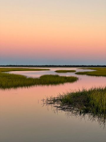 1596 Prince Edward Street, Mount Pleasant, SC 29464