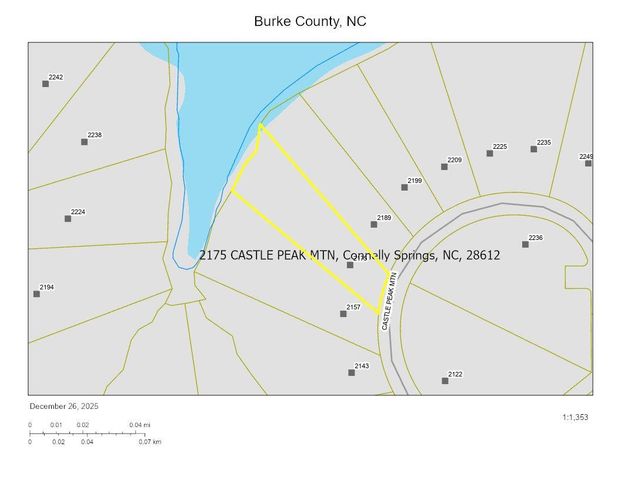2175 Castle Peak Mountain None 142, Connelly Springs, NC 28612
