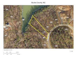 2175 Castle Peak Mountain None 142, Connelly Springs, NC 28612