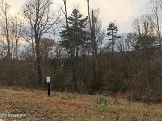 122 Black Oak Drive Lot 36, Oak Ridge, TN 37830