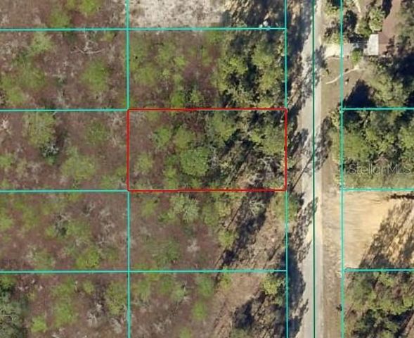 TBD NW NARCISSUS ROAD, Dunnellon, FL 34431