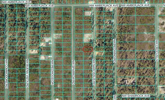 TBD NW NARCISSUS ROAD, Dunnellon, FL 34431