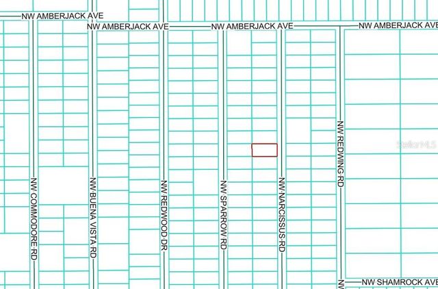 TBD NW NARCISSUS ROAD, Dunnellon, FL 34431