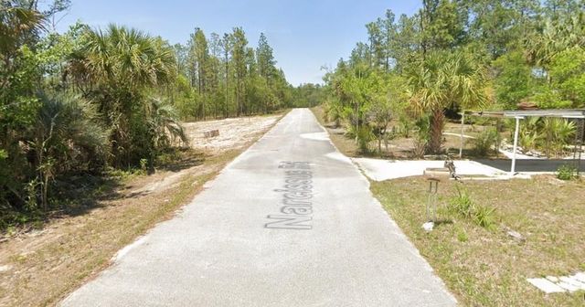 TBD NW NARCISSUS ROAD, Dunnellon, FL 34431