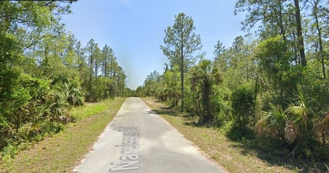 TBD NW NARCISSUS ROAD, Dunnellon, FL 34431