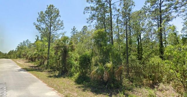TBD NW NARCISSUS ROAD, Dunnellon, FL 34431