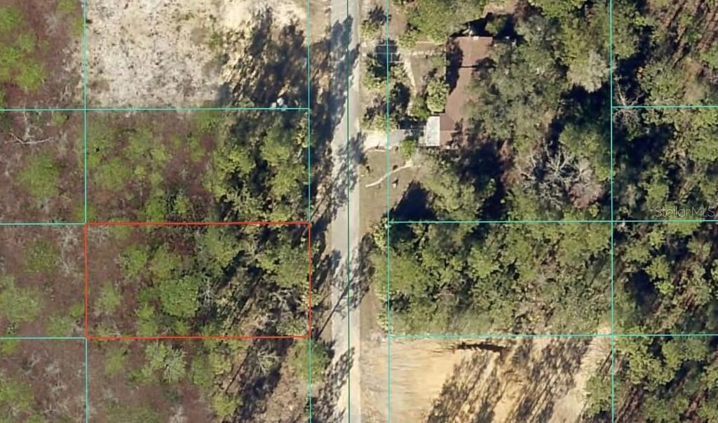 TBD NW NARCISSUS ROAD, Dunnellon, FL 34431