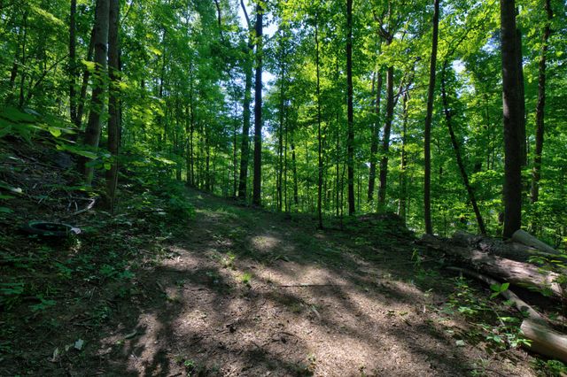 291 Montlake Road, Soddy Daisy, TN 37379