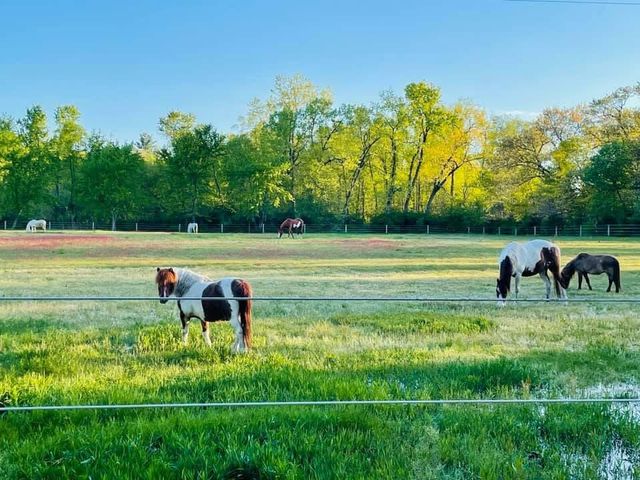 10792 N 600 E, Demotte, IN 46310